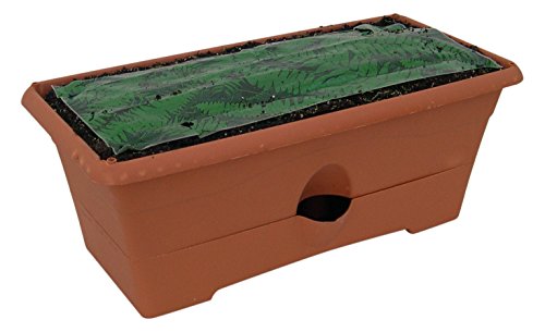 Garden Patch Terra Cotta The Grow Box