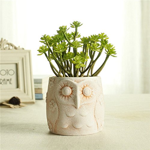 GeLive Owl Planter Succulent Planter Flower Pot Container Decorative Vase Garden Cart Window Box Pen Holder