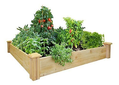 Greenes Fence Cedar RAISED GARDEN BED 48x48 Rot Insect Resistant GARDEN BOX