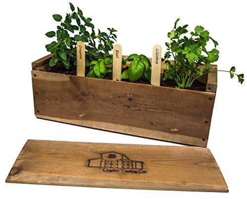 Indoor Herb Garden Planter Box Kit with Basil Cilantro Oregano Parsley Dill Seeds and Soil - Antique Wood