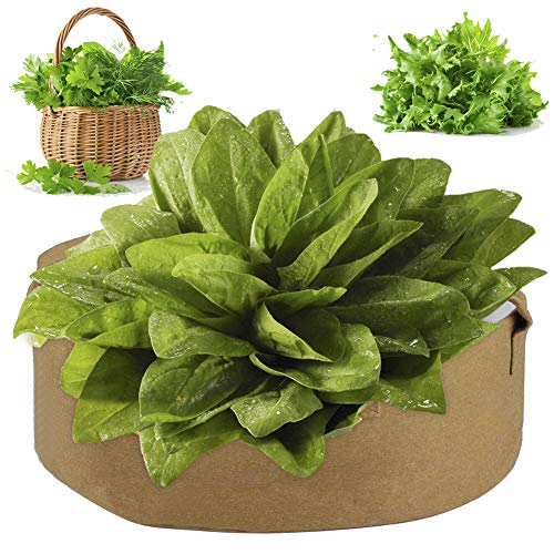 Alapaste 52Gallon Fabric Raised Planting BedGarden Grow Bags Herb Flower Vegetable Plants Bed Round Planter Fabric Pots Container with HandlesDia 362