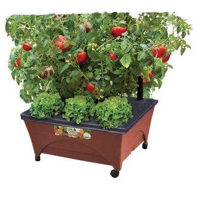 245 In X 205 In Patio Raised Garden Bed Kit with Watering System and Casters in Terra Cotta
