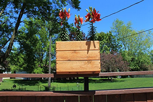 Raised Planter Box 16L X 10W X 12H Exclusive Natural Cedar Stained and Sealed  Exclusive Premium Lil Poz Creations Cedar Model with Hand Crafted Router Chamfer Designs on All 4 Faces Ideal for Most Surface Settings 100 Premium Natural Rustic Cedar