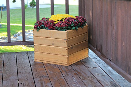 Raised Planter Box 195L X 185W X 16H Exclusive Natural Cedar Stained and Sealed  Exclusive Premium Lil Poz Creations Cedar Model with Hand Crafted Router Chamfer Designs on All 4 Faces Ideal for Most Surface Settings 100 Premium Natural Rustic C