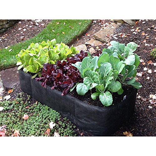 2 ft x 4 ft Black Instant Raised Garden Planter Bed