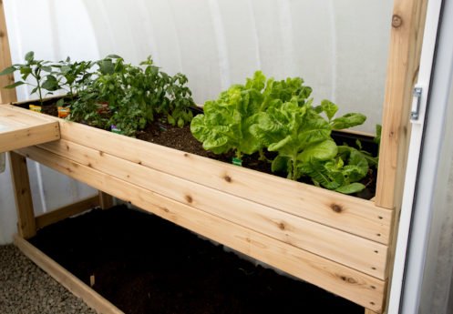 Solar Gem Greenhouse Raised Bed Planter 86â€³