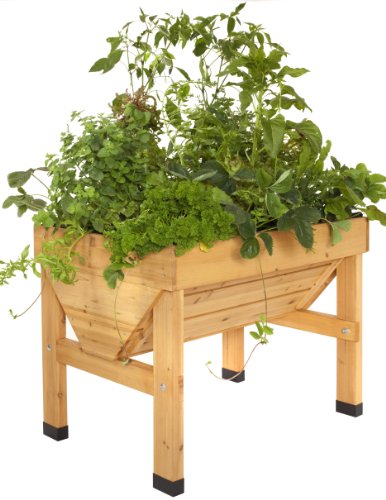 Small Vegtrug Elevated Garden With Wooden Frame