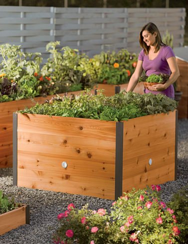 4 x 4 Elevated Cedar Raised Bed