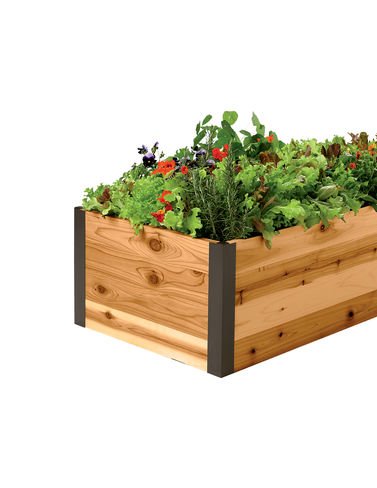 Cedar Raised Garden Bed 2 x 8 x 15