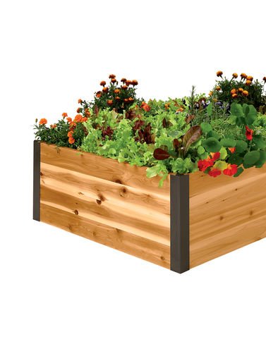 Cedar Raised Garden Bed 3 x 6 x 15