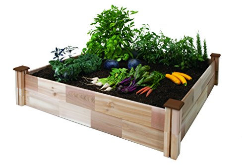 Cedarcraft Raised Garden Bed 49" X 49" X 12"