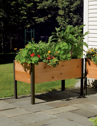 Gardeners Supply Co 2 Ft x 4 Ft Raised Garden Bed Elevated Cedar Planter Box 24 x 48 Standing Garden