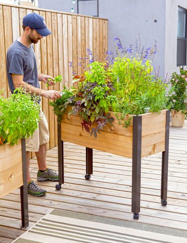 Self Watering Cedar Raised Garden Bed, Standing Garden