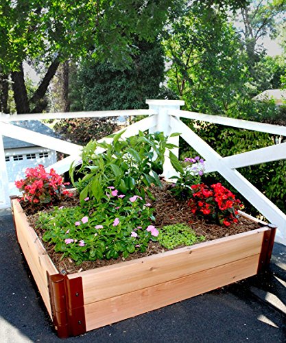 Frame It All 300001109 One Inch Series 4 x 4 x 12 Cedar Raised Garden Bed Kit