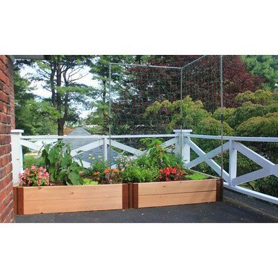 Frame It All Two Inch Series Cedar Raised Garden Bed Kit with two Veggie Walls 4 x 8 x 12