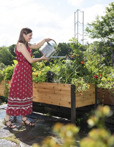 Gardeners Supply 2 Ft x 8 Ft Raised Garden Bed Elevated Cedar Planter Box Standing Garden 24 x 96