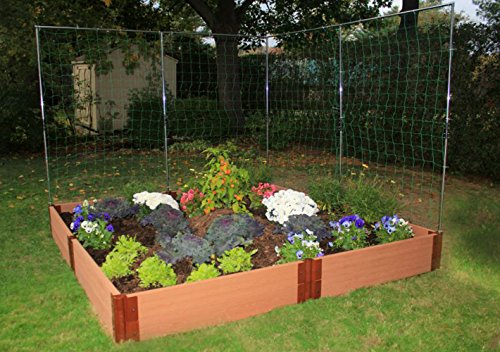 Frame It All 1&quot Series 8 X 8 X 11&quot Composite Raised Garden Bed Kit With Two Veggie Walls