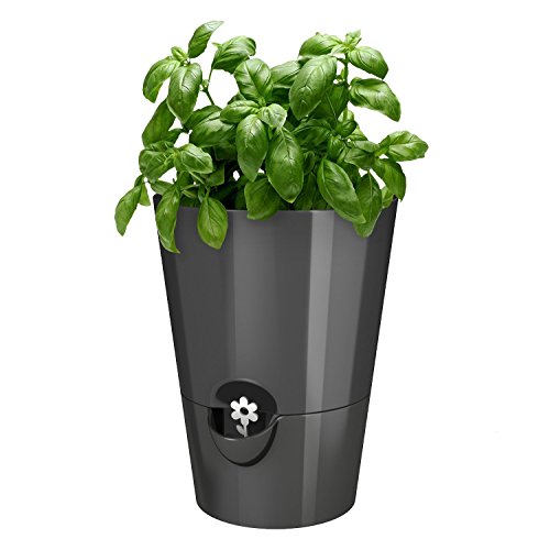 Emsa Germany - Indoor Gardeningamp Self-watering Planter Keeping Kitchen Herbs Freshamp Healthy For Weeks