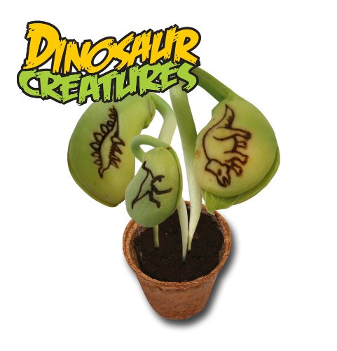 Magic Bean Wishes Dinosaur Creatures Planter Kit