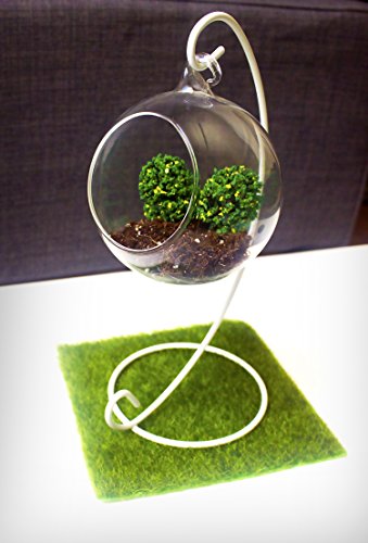 Noahs Hanging Glass Terrarium Kit - Includes Free Mysteries Of Urban Gardening Ebook - Makes A Great Planter Or