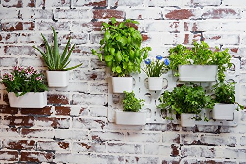 Vertibloom Living Wall Garden Starter Kit - Modular Indoor Vertical Planter System