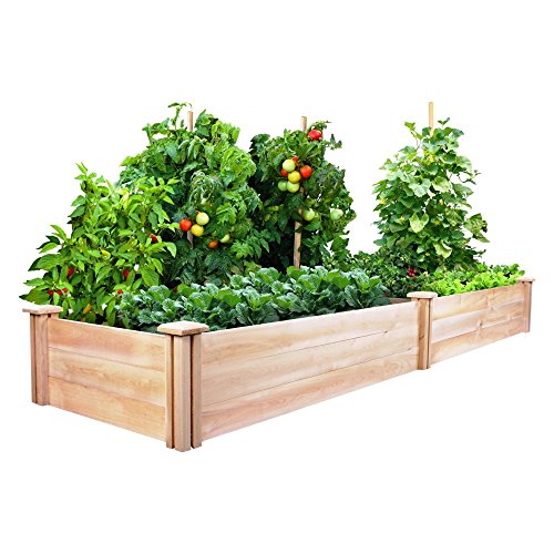 Greenes Cedar Raised Garden Kit 2 Ft X 8 Ft X 105 In