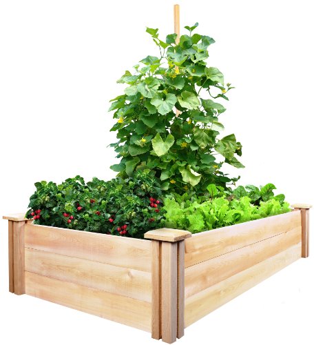 Greenes Fence Cedar Raised Garden Kit 2 Ft X 4 Ft X 105 In