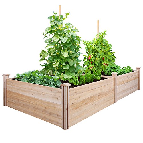 Greenes Fence Cedar Raised Garden Kit 4 Ft X 8 Ft X 175 In