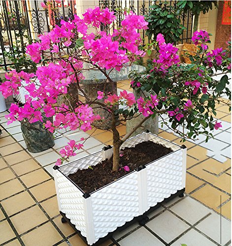 Inchant Durable Plastic Vegetable Raised Garden Bed Outdoor Rooftop Balcony Grow Flowers Elevated Garden Planter Bed Planting Box Patio Backyard Planter with Water Storage Plate and Universal Wheels