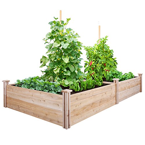 Greenes Fence Cedar Raised Garden Kit 4 Ft X 8 Ft X 14 In