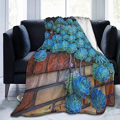 WUHAN1 Succulent Garden Ideas for You Garden Ultra-Soft Micro Fleece Blanket Black 80 x60