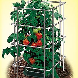 Foldable Tomato Cages set of 3