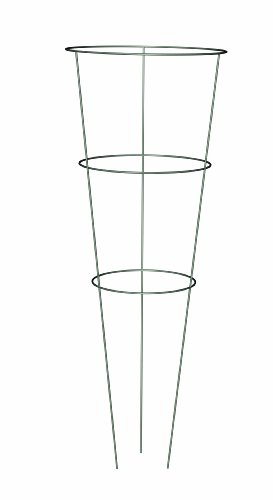 Panacea Products 89716 Heavy Duty Galvanized Tomato Cage and Plant Support 33-Inch