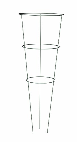 Panacea Products 89716 Heavy Duty Galvanized Tomato Cage and Plant Support 33-Inch
