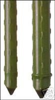 80 Woodstream Corp ST5 5 ft x 716 Plastic Sturdy Stake Plant Support