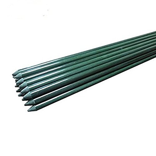 EcoStake 14 X 60 Pack Of 20 Garden Stakes Plant Stakes Tomato Stakes  Never Rustrot Better Than Wood Stakes and Bamboo Stakes Green