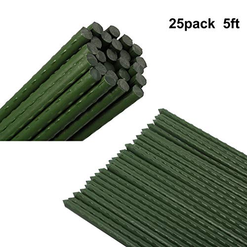 HYDDNice 25 Pack 5ft x 716 Sturdy Metal Garden Plant Stakes with Plastic Coated Tube Plant Sticks for Tomato Cucumber Bean Climbing Plants Grow