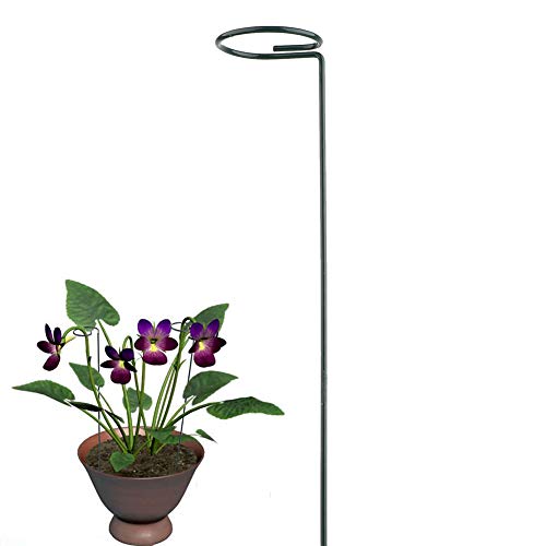 INFILM Plant Support Stakes Metal Garden Single Stem Plant Support Climbing Trellis Supports Plant Cage Support Rings for Amaryllis Tomatoes Orchid Lily Peony Rose Flower45 Cm177 Inch