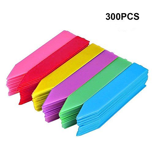 KINGLAKE 300 Pcs 4 Inch Thick Plastic Plant Garden Seed Labels Nursery Garden Plant Stake Tags 6 Colors