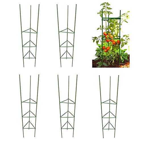 MTB 59Inch Assembled Triangle Tomato Cage Garden Plant StakesGreen Coated Steel 5Pack
