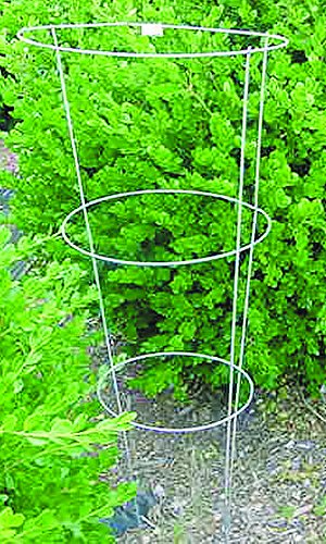 Glamos Wire Products 701002 12 X 33 Round Wire Tomato Hoop