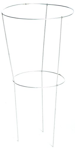 Glamos Wire Products 706009 18 X 30 Peony Hoop