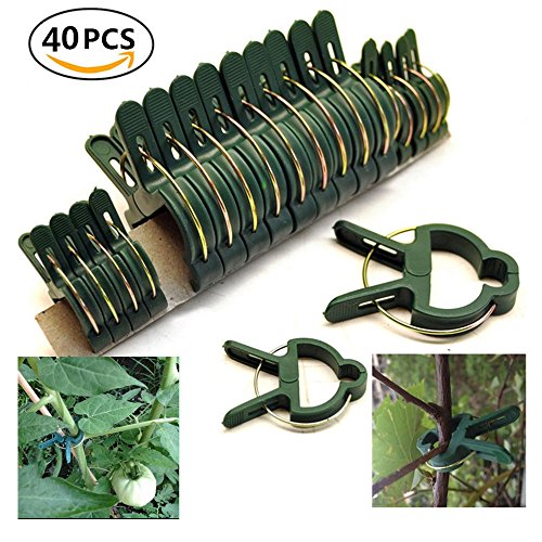 Garden Plant Support Plant Staking Clips For Vines Flower Clips For Gardening Supporting Stemsvinesstalks Flower