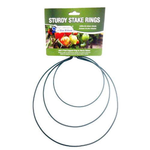 Gardeners Blue Ribbon Ssr Sturdy Stake Plant Support Rings