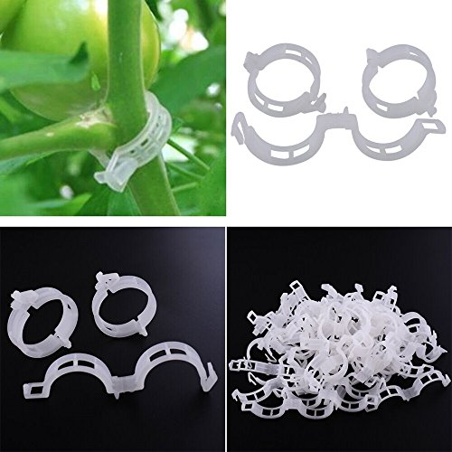 Md trade 100 Pcs Garden Plant Support Plant Staking Clips for Garden Tomato Garden Vegetables Vine to Grow Upright White