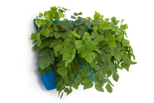 Living Wall Planter Outdoor Use Only  color Peacock Blue Vertical Garden modular Sustainable Eco Green