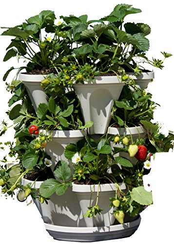 3 Tier Stackable Garden - Indoor  Outdoor Vertical Planter Set - Self Watering Tiers From Top Down - Grow Fresh