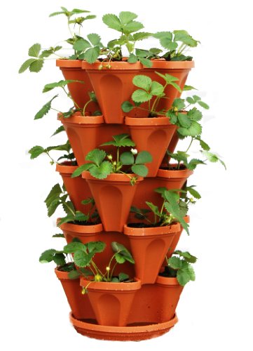 5 Tier Stackable Strawberry Herb Flower And Vegetable Planter - Vertical Garden Indoor  Outdoor