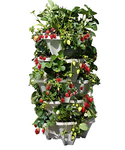 Mr Stacky 5 Tiered Vertical Gardening Planter Indooramp Outdoor