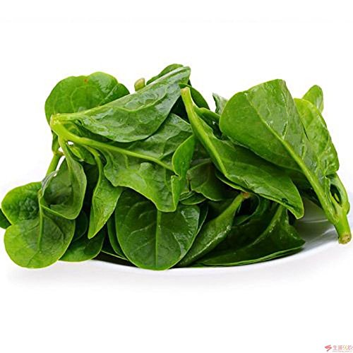 Generic 100 Malabar Spinach Vine Seeds Big Harvest Vegetable Seed